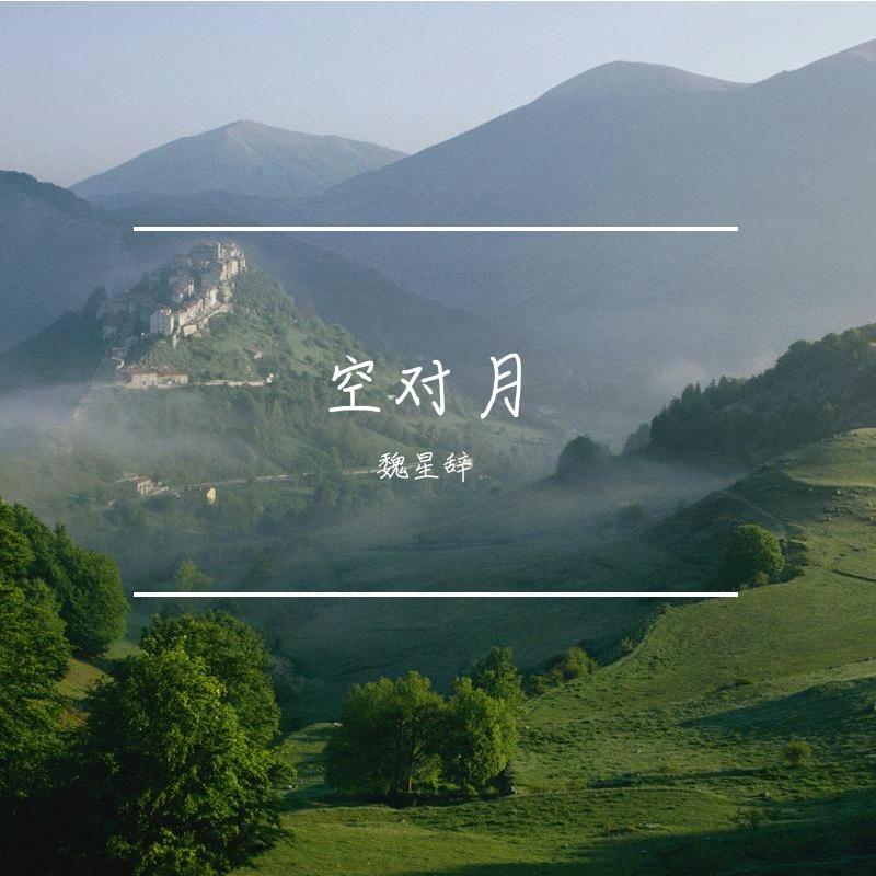 逆风展翅志 - 魏星辞封面
