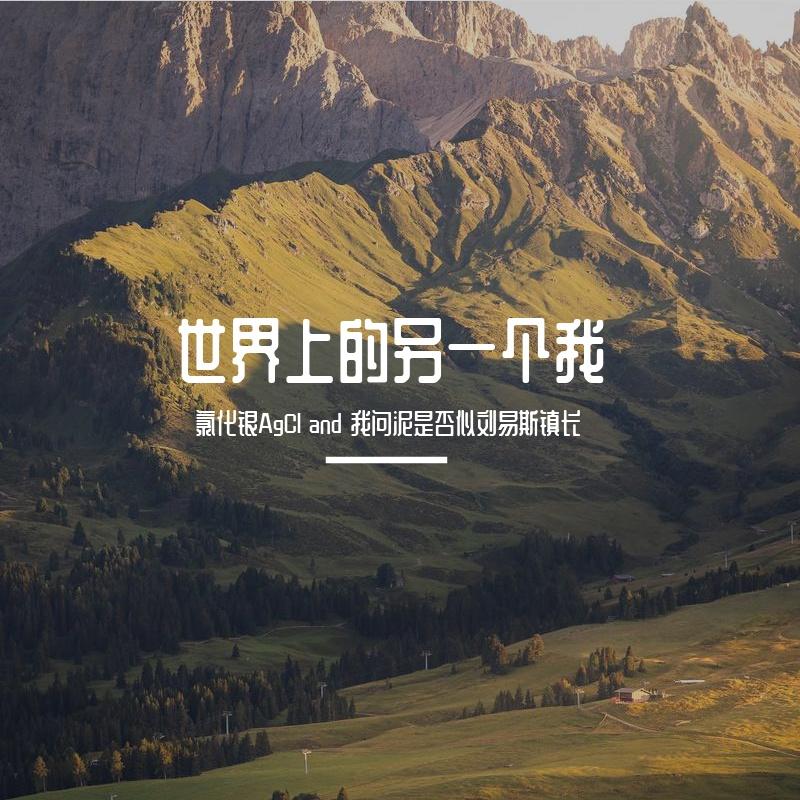 世界上的另一个我