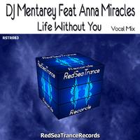 Life Without You (feat. Anna Miracles)