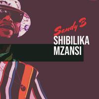 Shibilika Mzansi (Live)