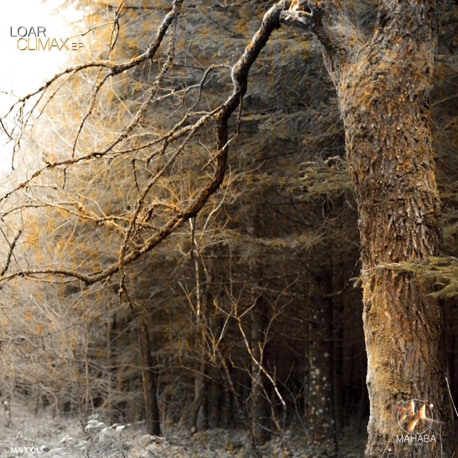 Climax (Original mix)