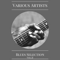 Blues Selection Vol. 2