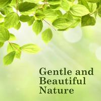 Gentle and Beautiful Nature, Vol. 1