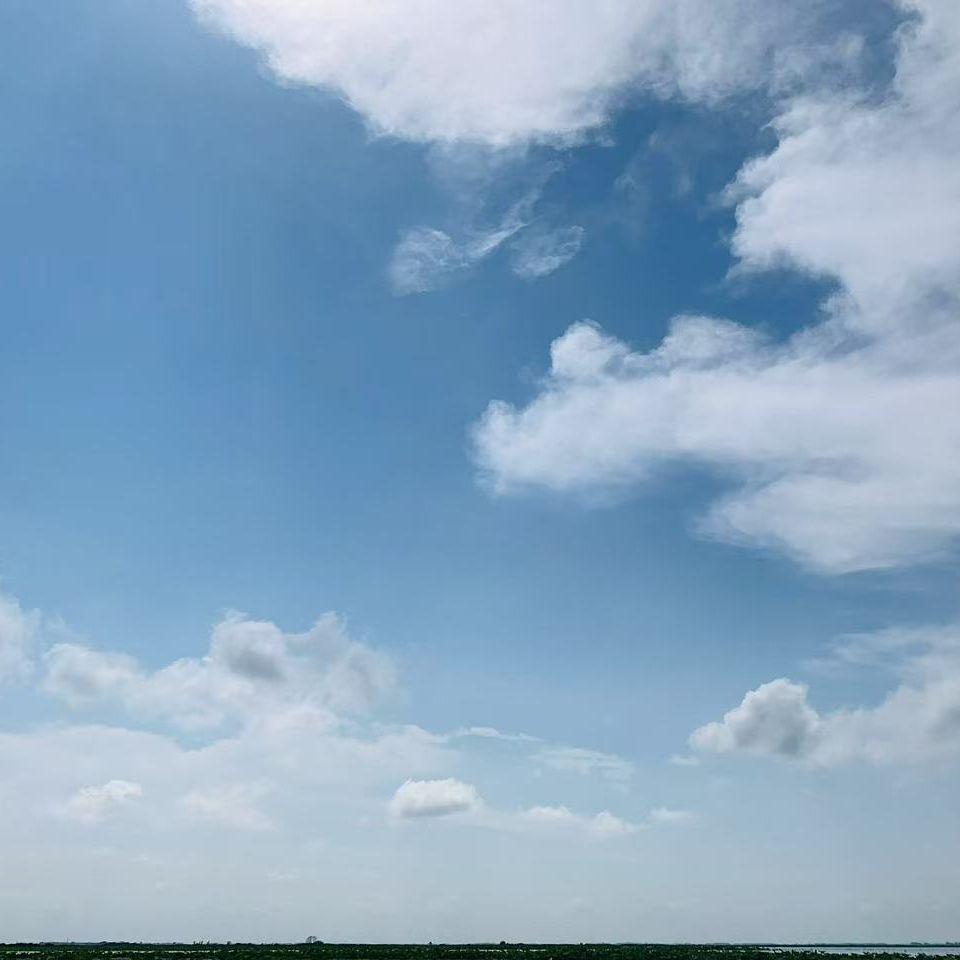 桃花依旧笑 - 江挽封面