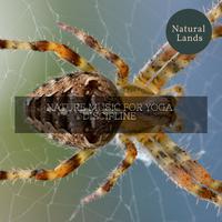 Nature Music for Yoga Discipline