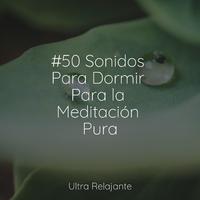 #50 Sonidos Para Dormir Para la Meditación Pura