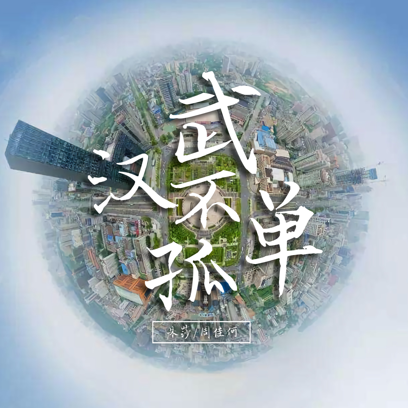 武汉不孤单封面