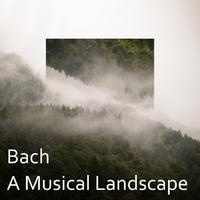 Bach: A Musical Landscape