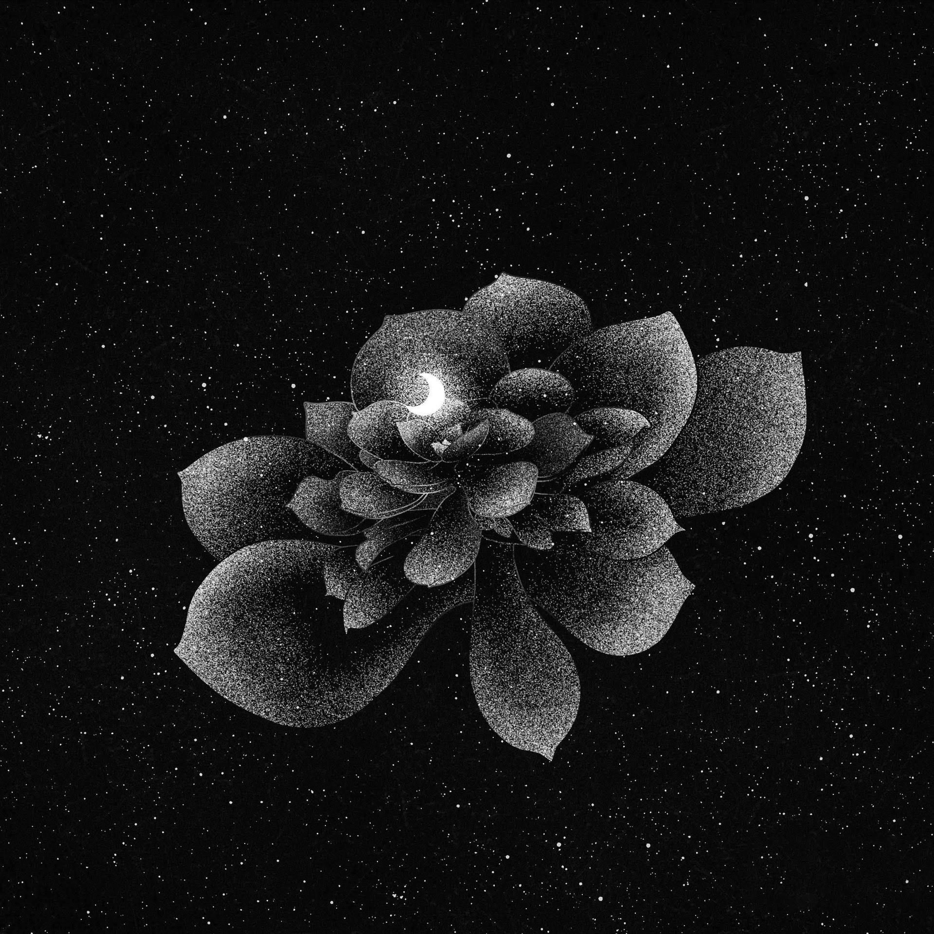 nvr let me go (feat. Envyness)