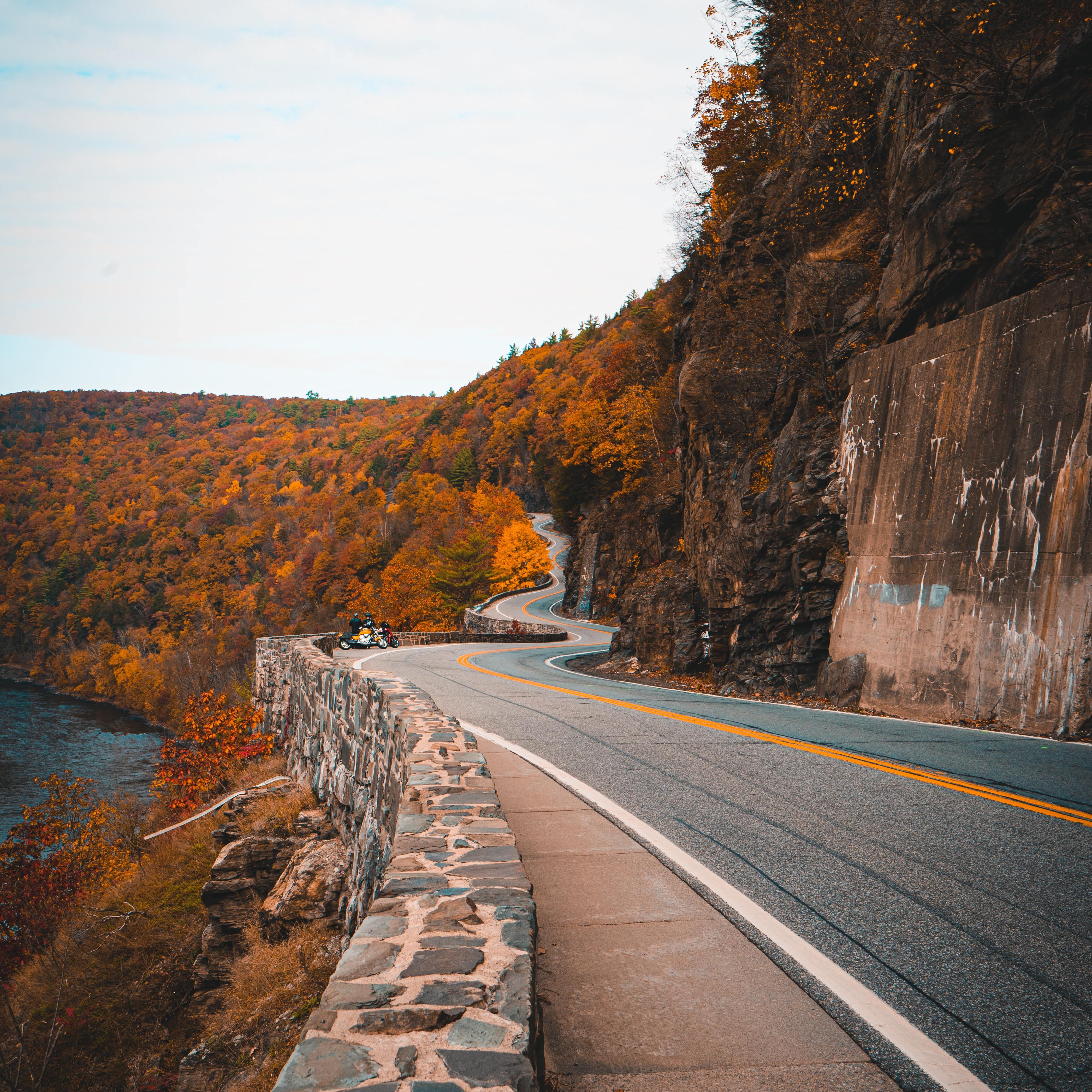 你若三冬（抖音纯享版）