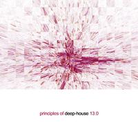 Principles of Deep House, Vol. 13