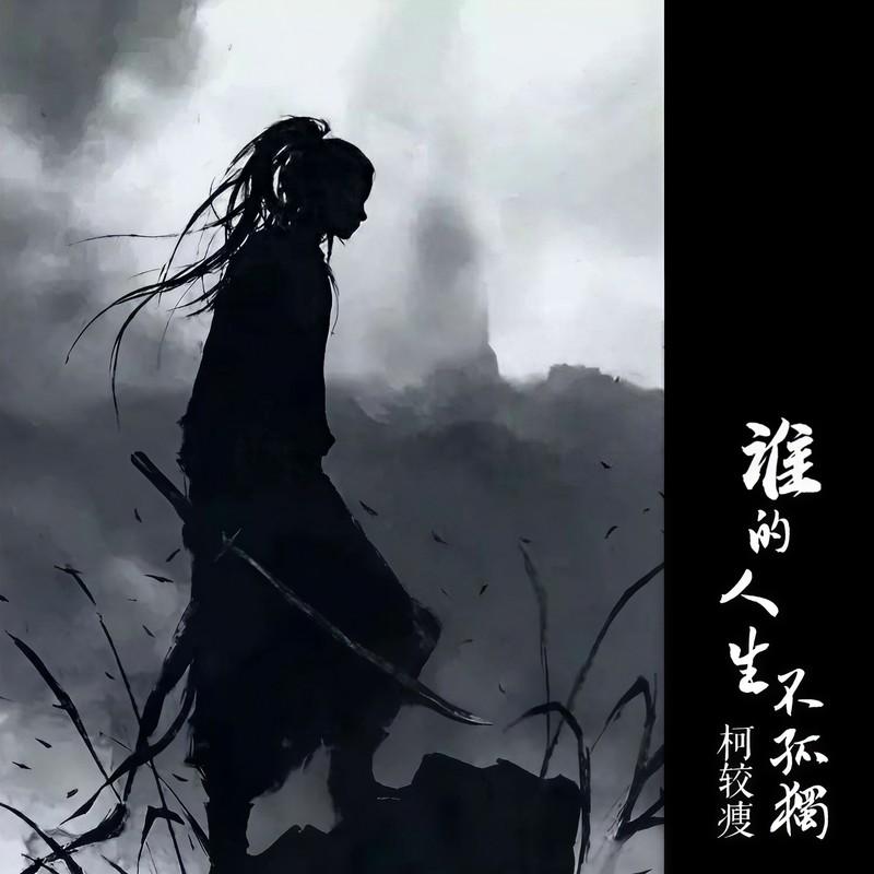 谁的人生不孤独封面