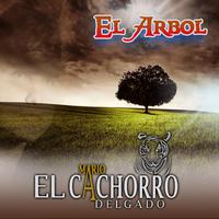 El Arbol