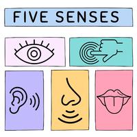 Five Senses