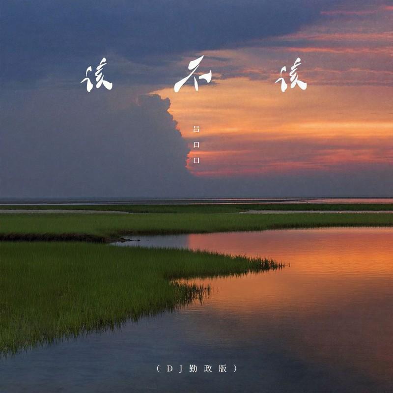 该不该(DJ版) - 吕口口封面
