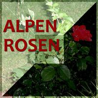 Alpenrosen - Die Schönste Volksmusik