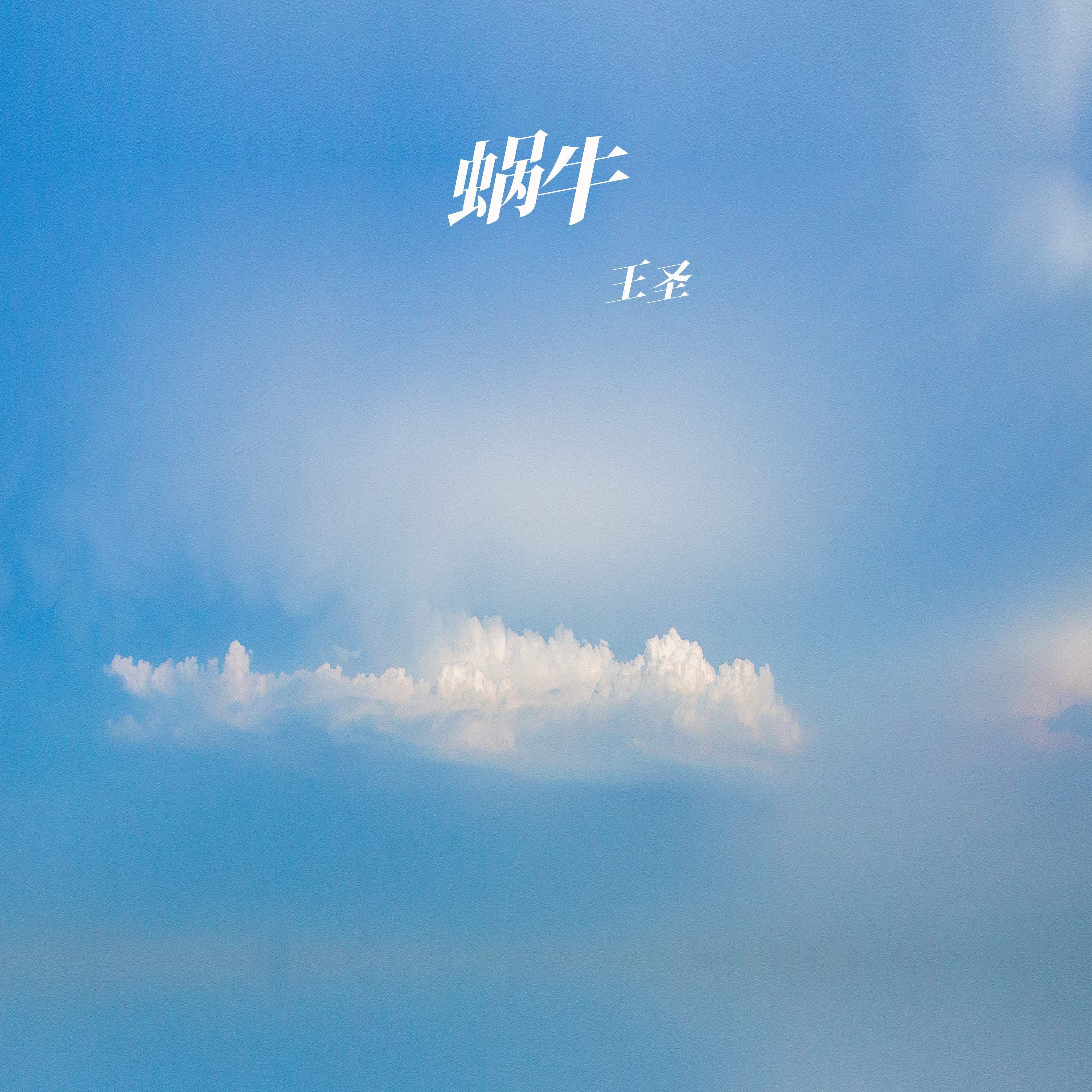 蜗牛（伴奏）封面