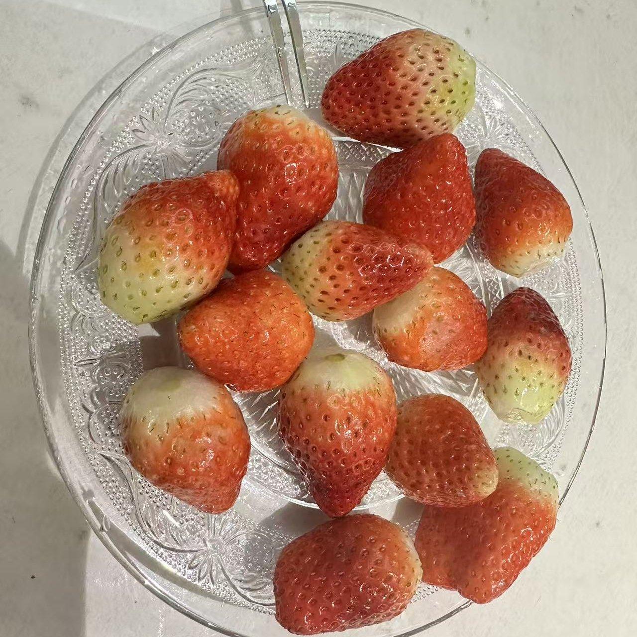《就让》封面