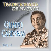 Tradicionales de Platino, Vol. 1