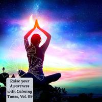 Raise Your Awareness With Calming Tunes, Vol. 09