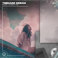 Teenage Dream (Techno Remix)