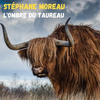 L'ombre du taureau