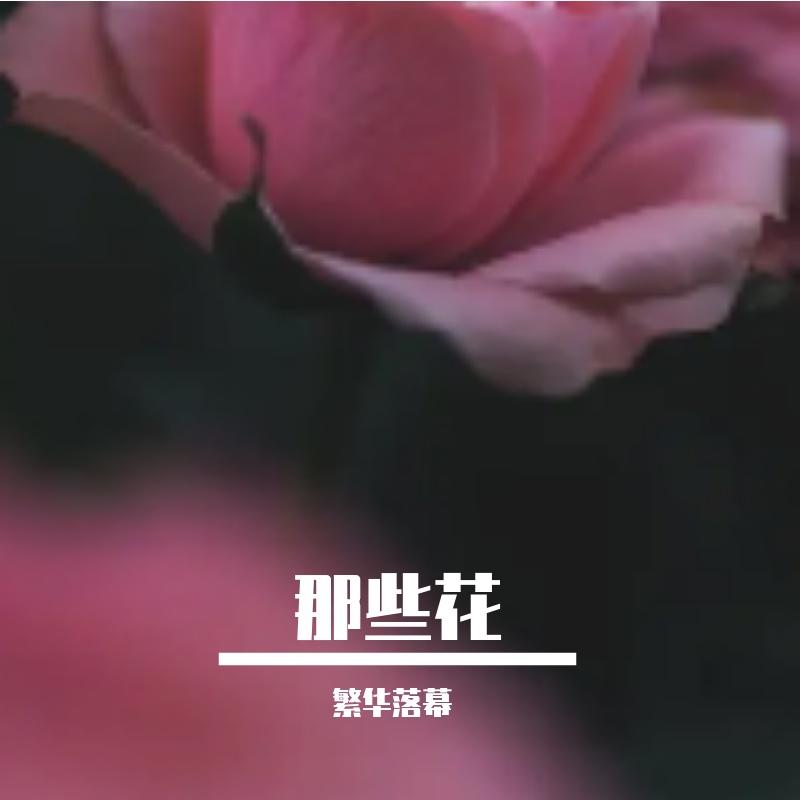 泪光闪烁 - 繁华落幕、若溪（虚拟歌手）封面