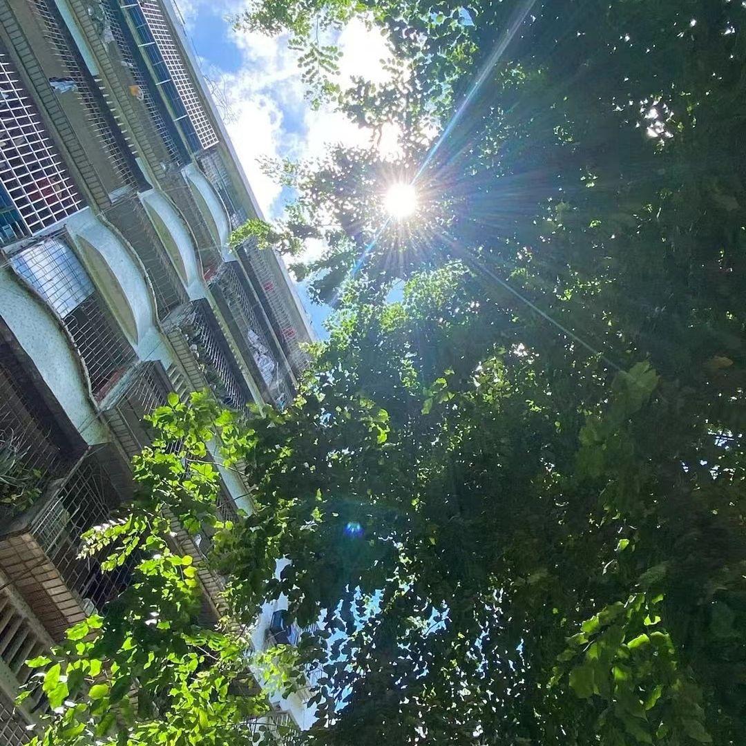 看海计划封面