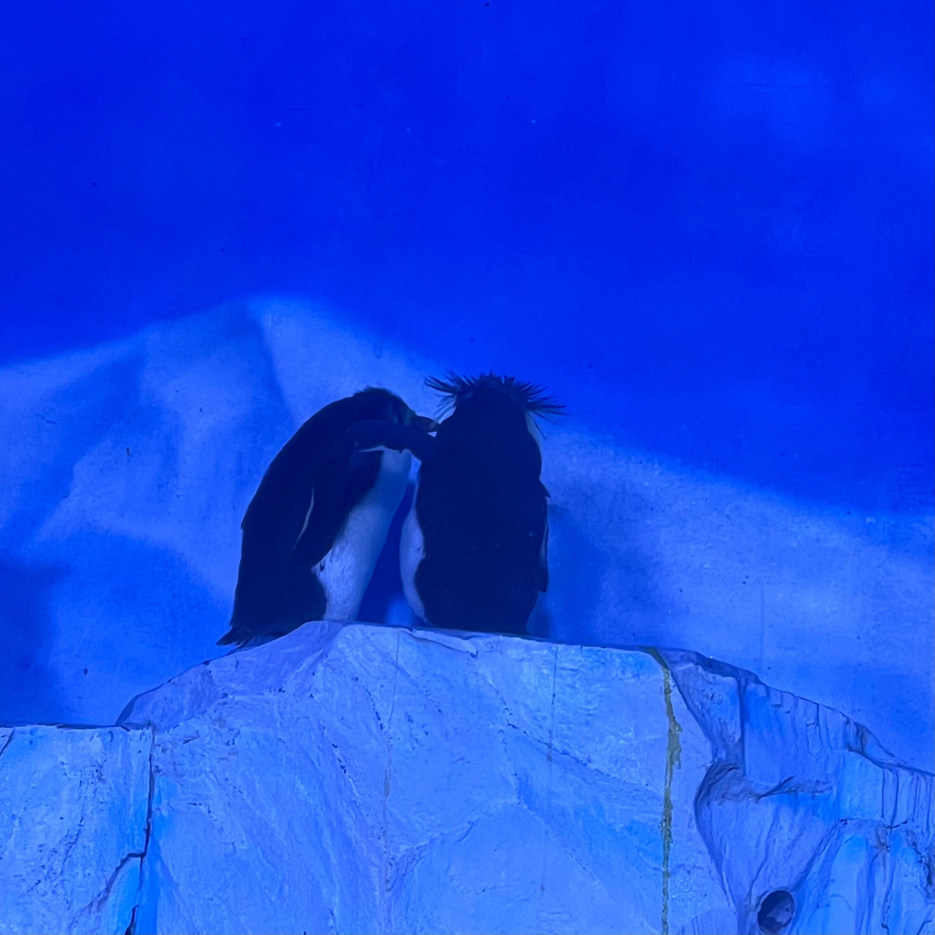 Ring Ring Ring（SHE）