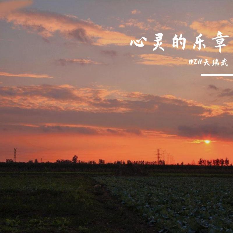 面对流言蜚语封面