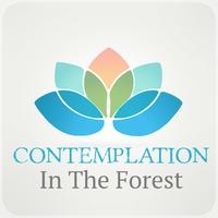 Contemplation in The Forest – Yoga Music, Surya Namaskar, Asana Positions, Meditation and Relaxation Music, Welness and SPA