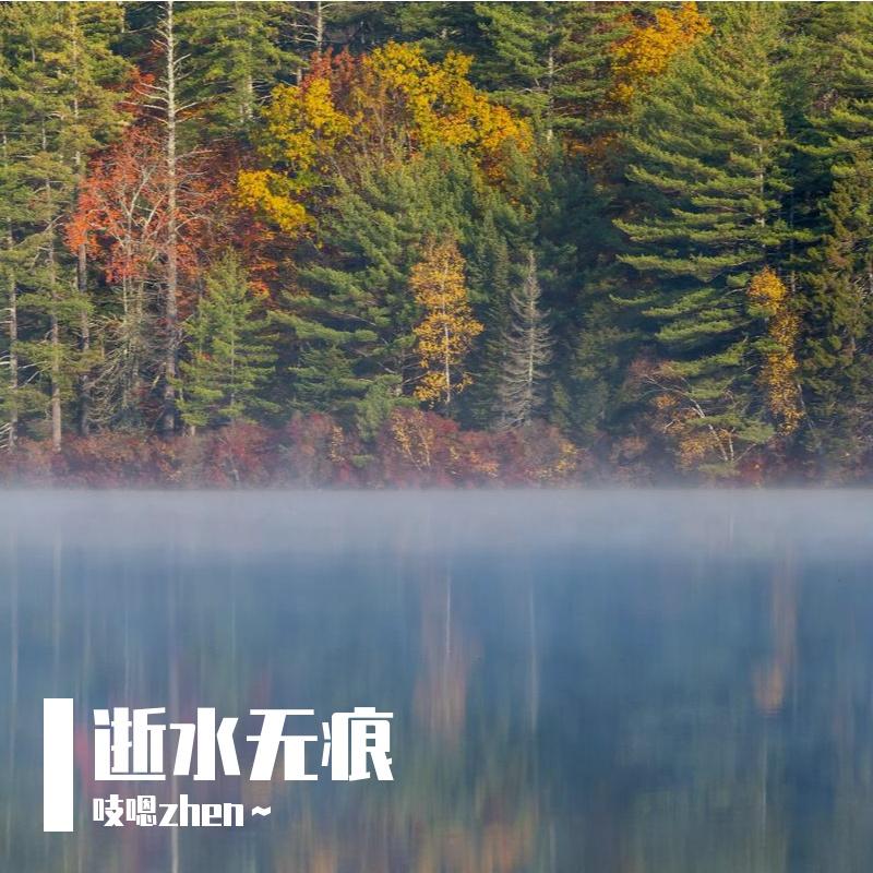 逝水无痕封面