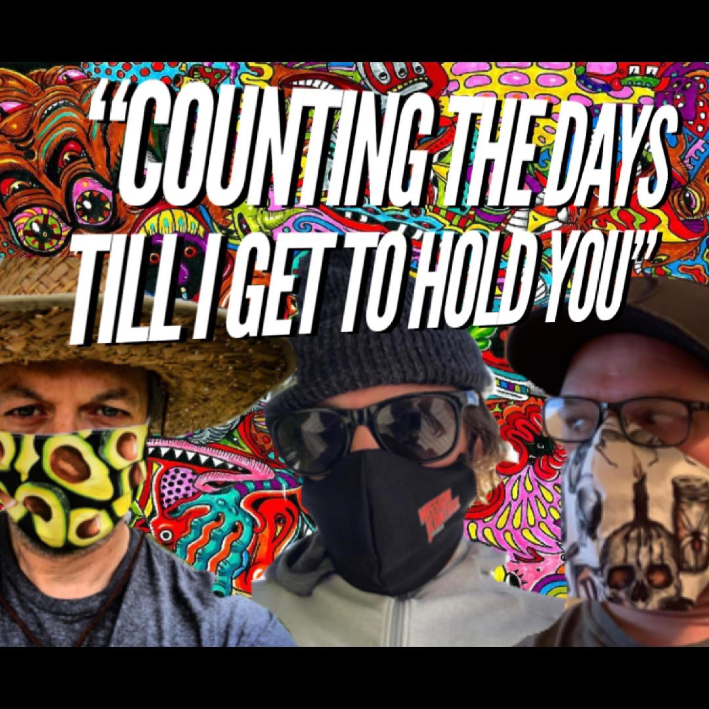 Counting the Days Till I Get to Hold You