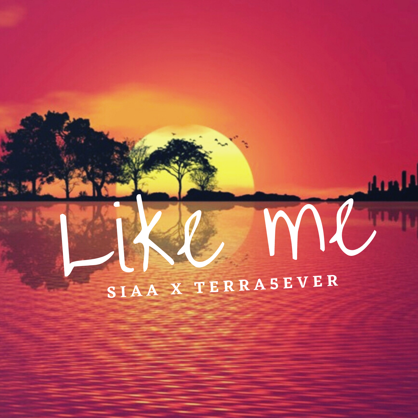 Like Me (feat.Terra5ever)