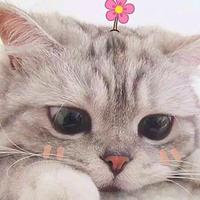远方上