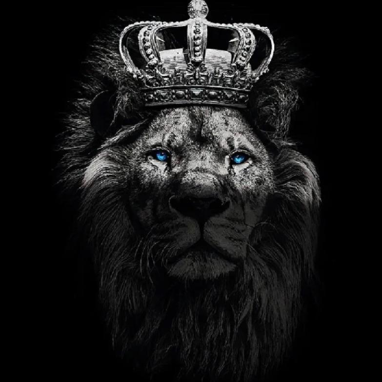 野兽beast（成都集团CDC2022）