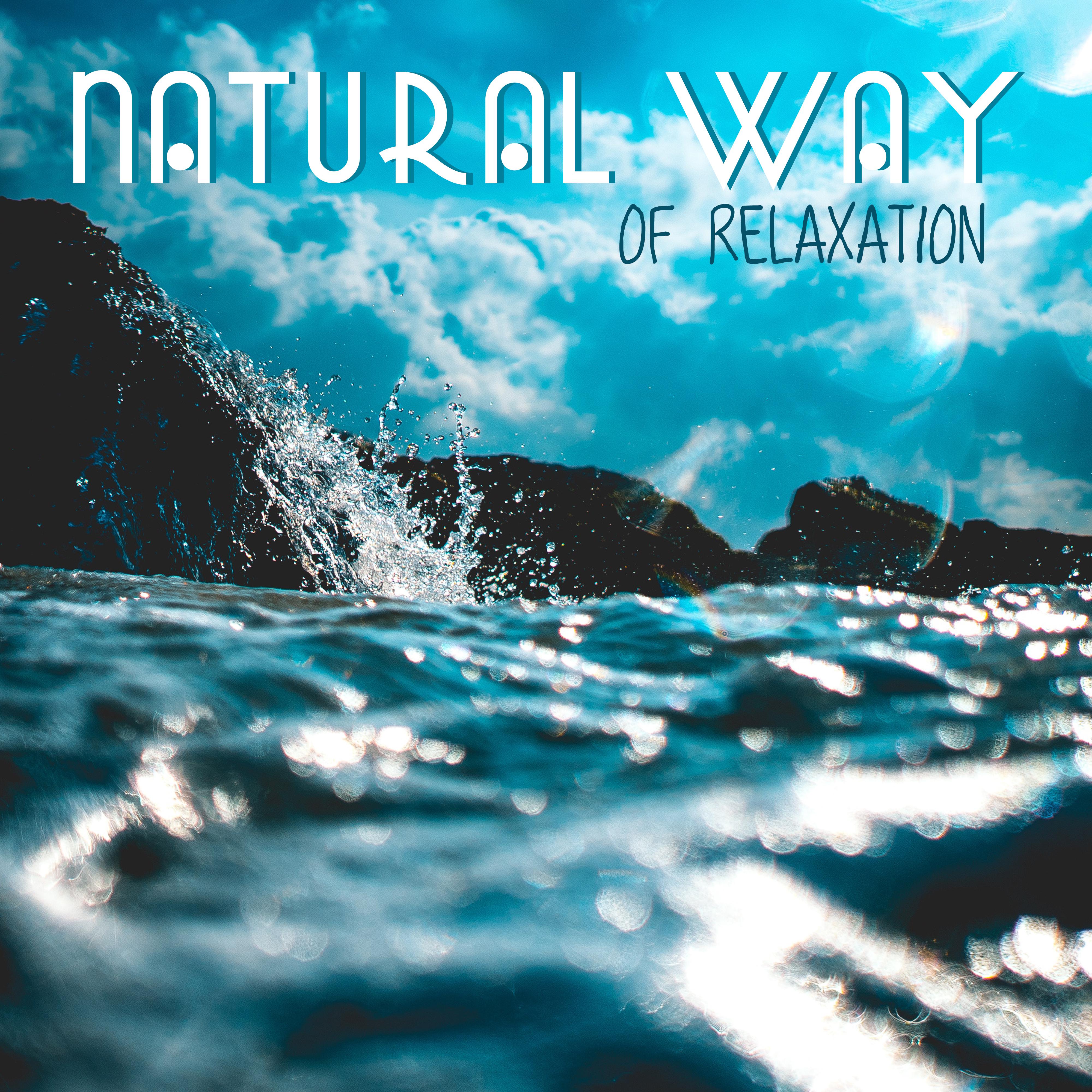 What is a Sedation Vacation? Discover the Ultimate Guide to Relaxation and Recovery