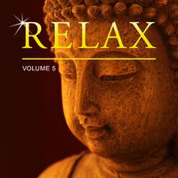 Relax, Vol. 5