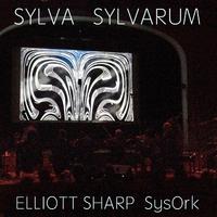 Sylva Sylvarum