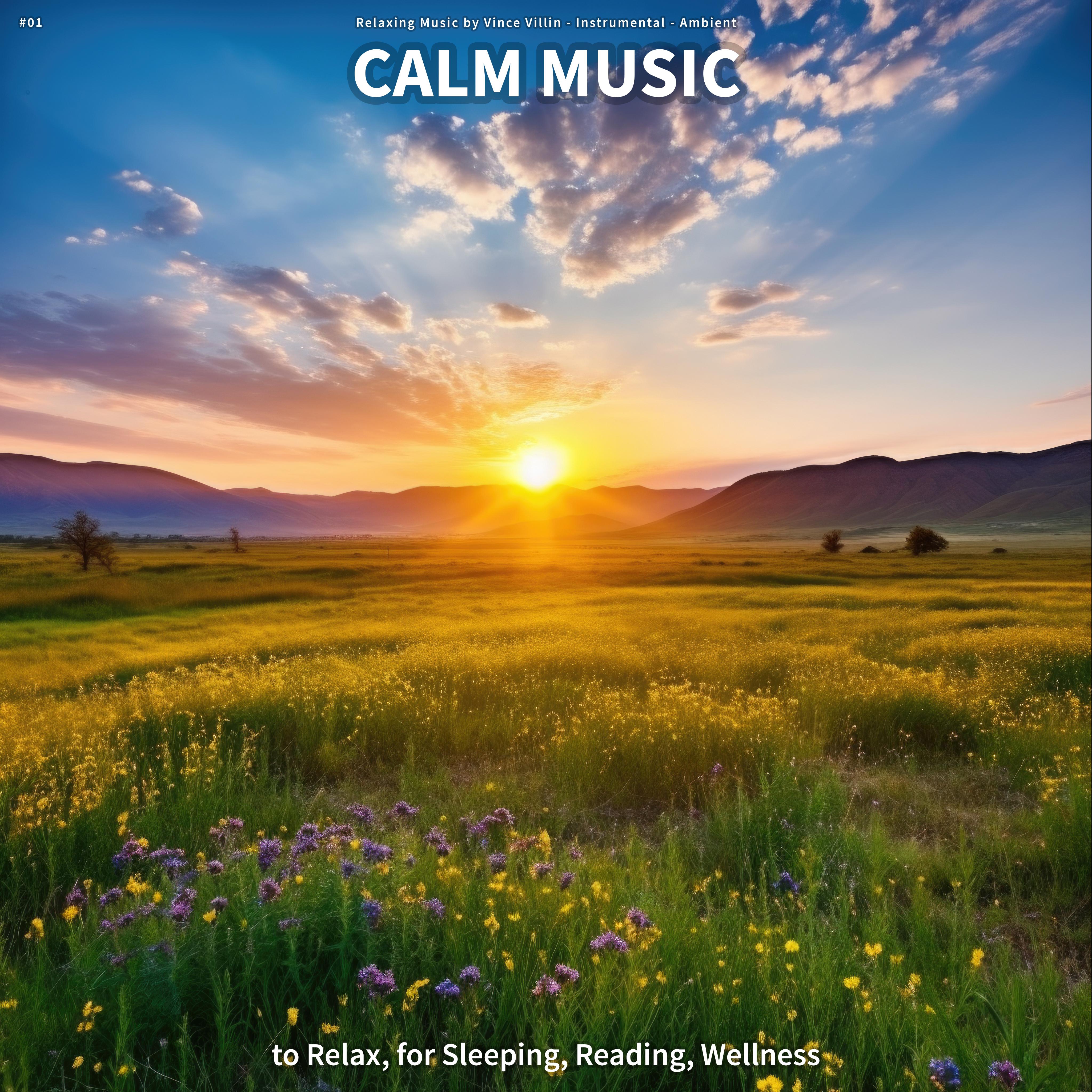 01-calm-music-to-relax-for-sleeping-reading-wellness-relaxing