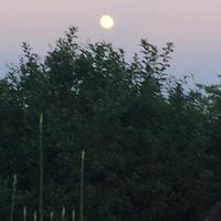 Tgwog资料,Tgwog最新歌曲,TgwogMV视频,Tgwog音乐专辑,Tgwog好听的歌