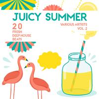 Juicy Summer (20 Fresh Deep-House Beats), Vol. 2