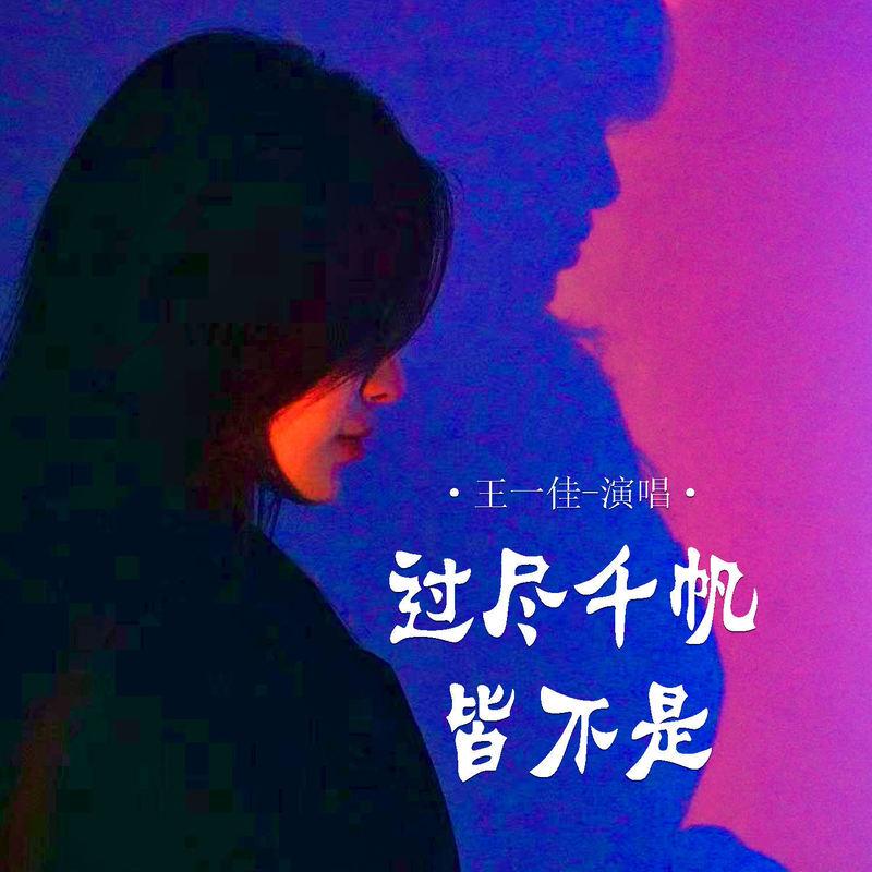 过尽千帆皆不是 (Live合唱版伴奏) - 王一佳封面
