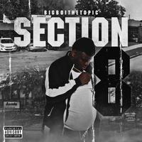 Section 8