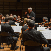 Les Musiciens du Louvre