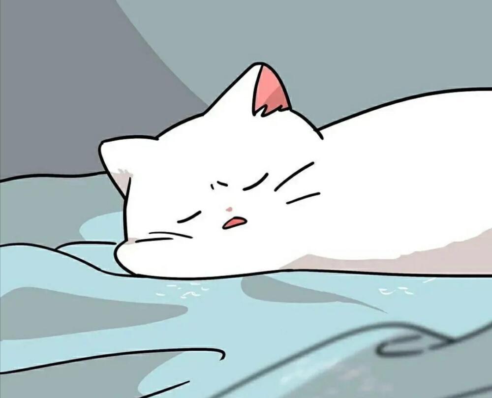 PUUSUN