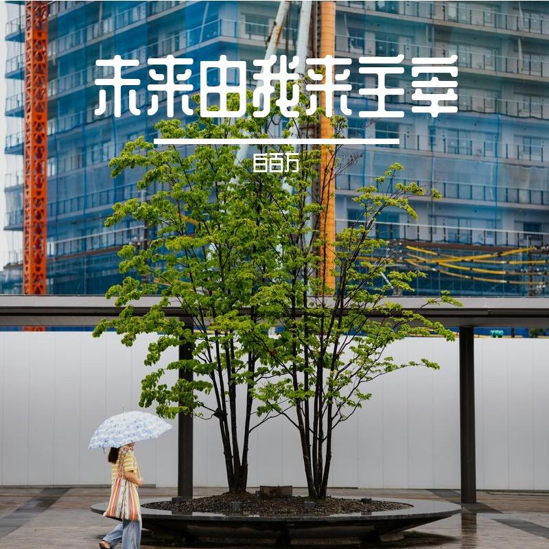我们的故事封面