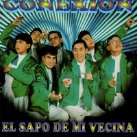 Conexion - Chiquitita de Mis Sueños