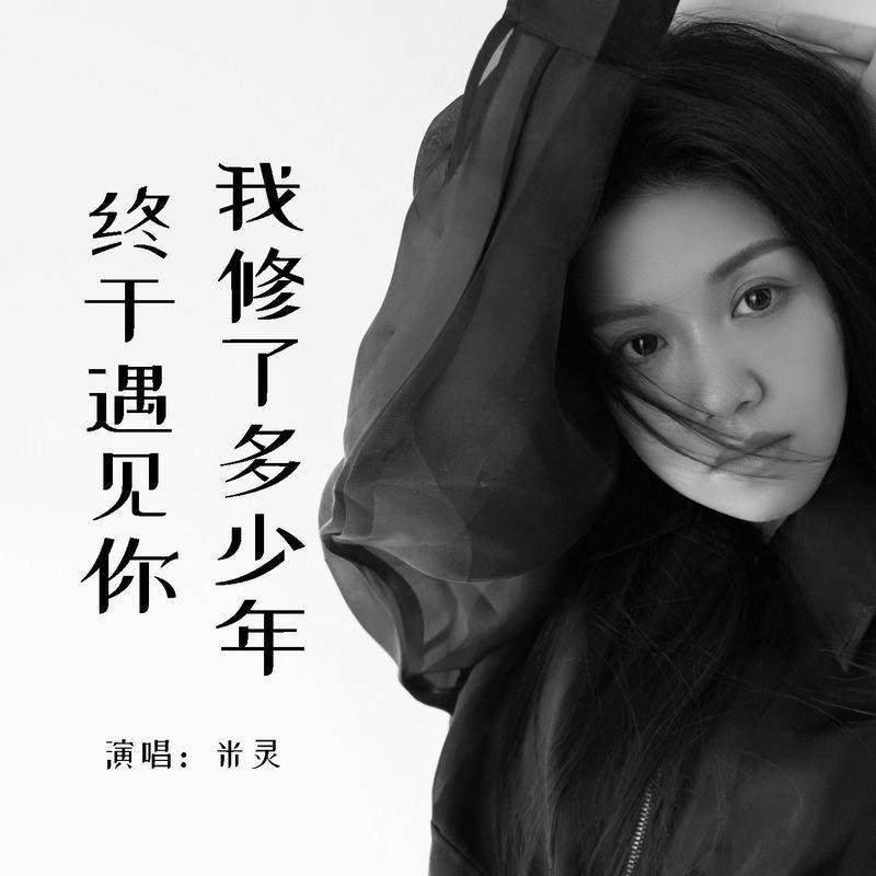 我修了多少年终于遇见你 (伴奏)封面