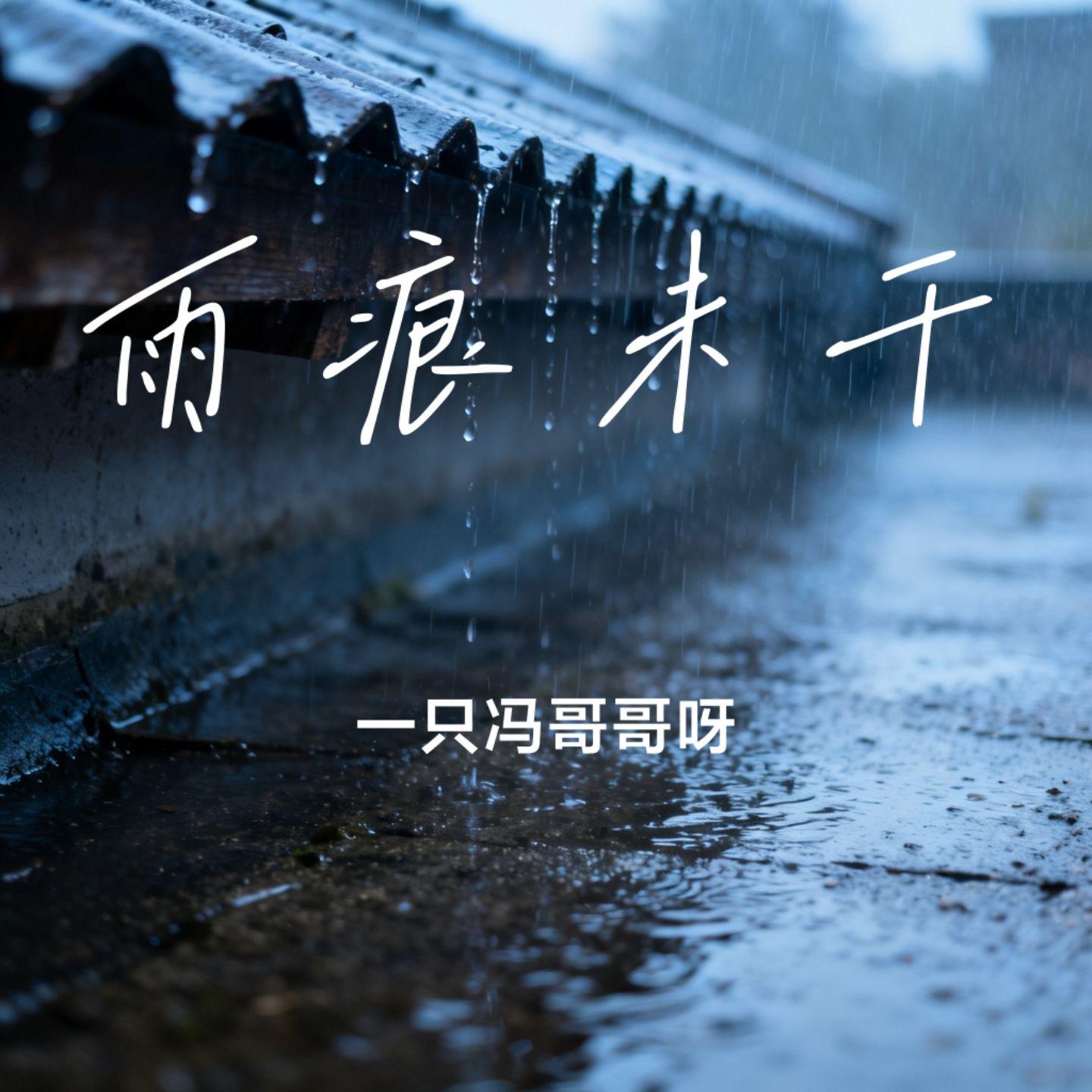 雨痕未干封面